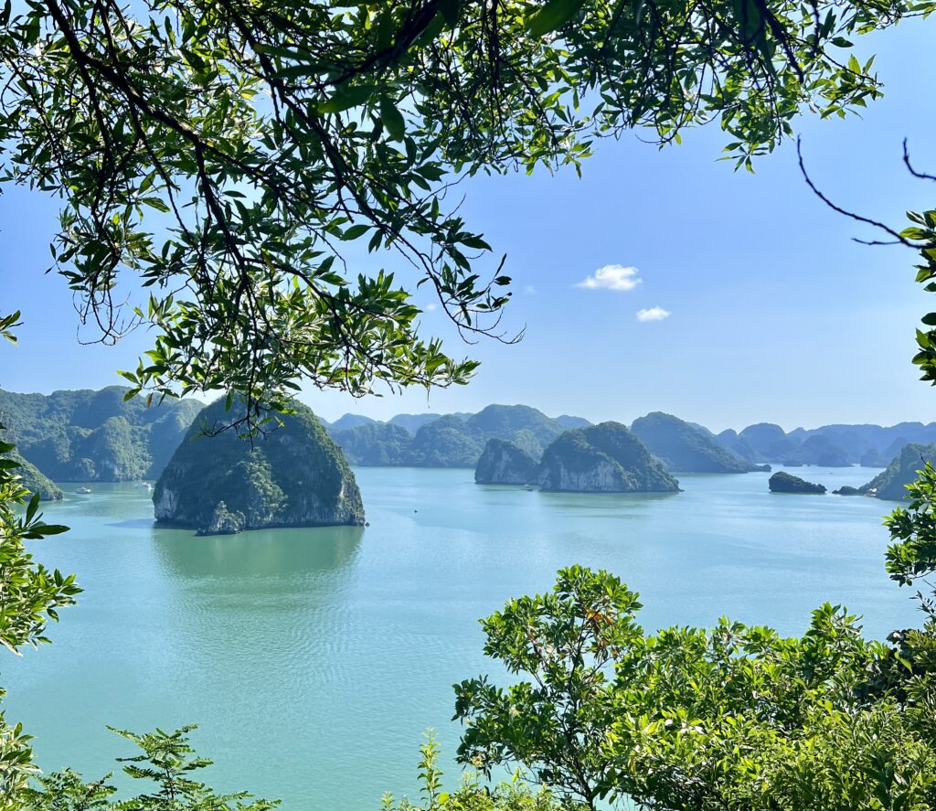 panoramic view of Halong Bay in a small island and wondering Is Ha Long Bay Worth Visiting